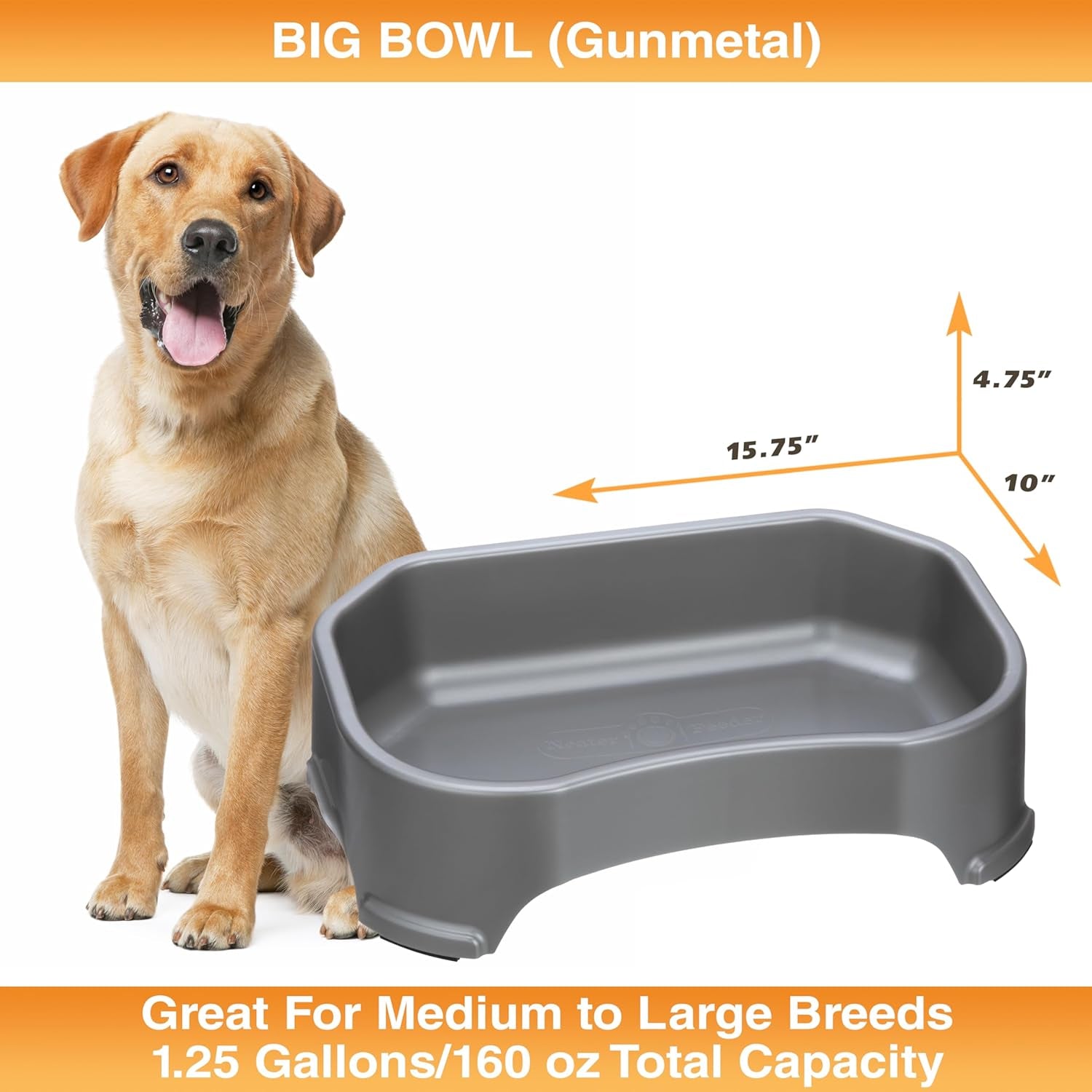 Big Bowl - Extra Large Water Bowl for Dogs (1.25 Gallon Capacity, 160 Oz) - Huge over Size Pet Bowl - Gunmetal Grey